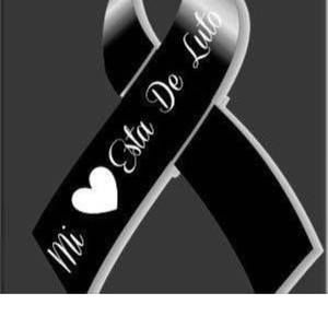 Meet your Posher, Eva